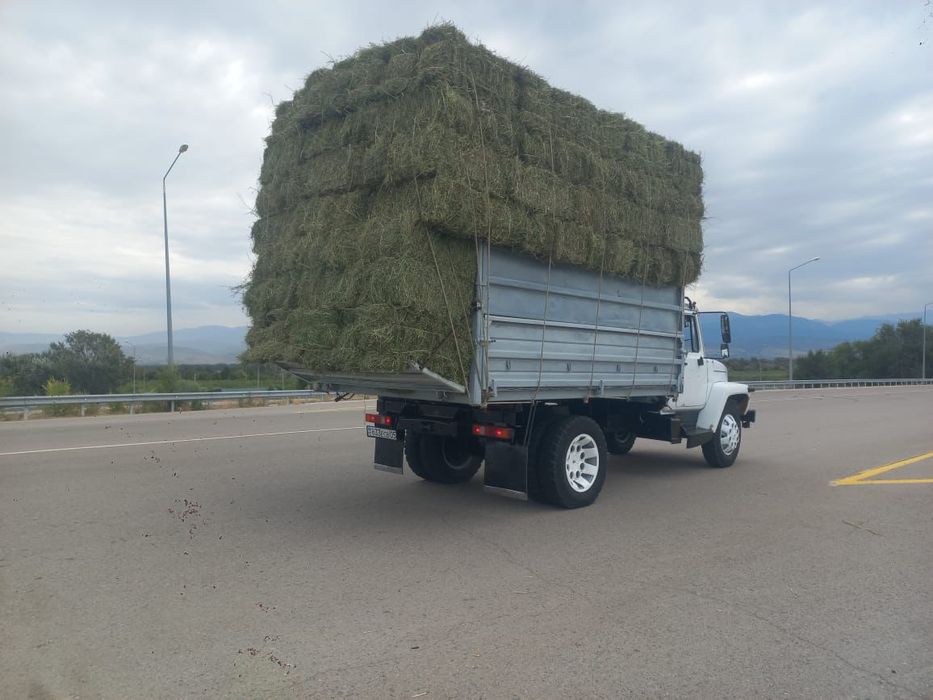 Сено Люцерна с доставкой
