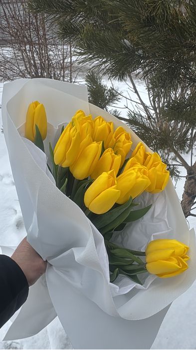 Тьюлпаны цветы