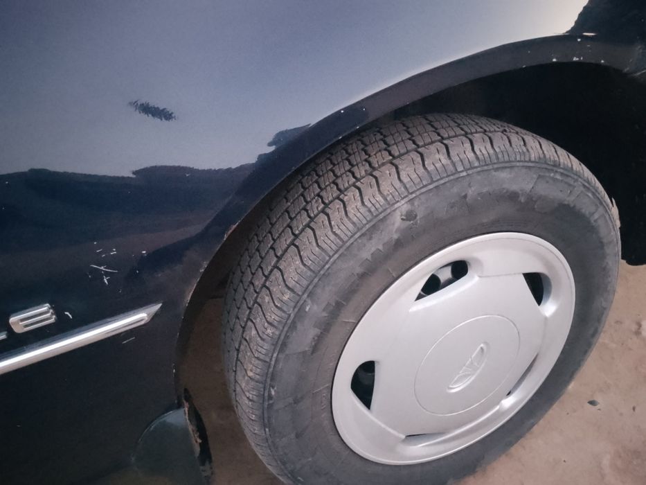 Neksiya1 sons 2000 yil super kansaner