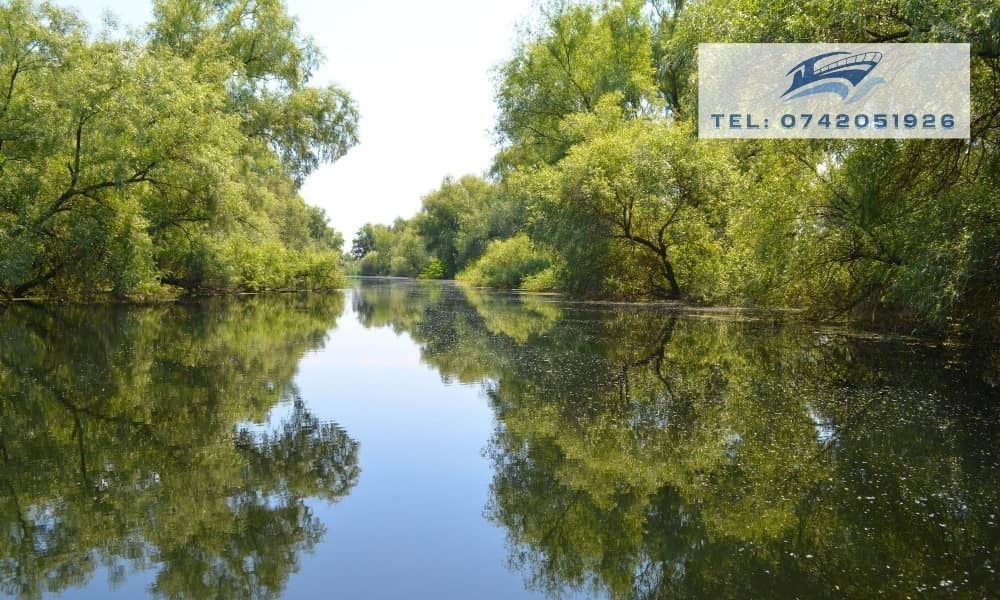 Excursii cu barca în Delta Dunării - Plecare din Mahmudia, jud. Tulcea