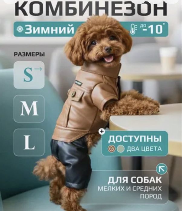 Комбенизон для собак