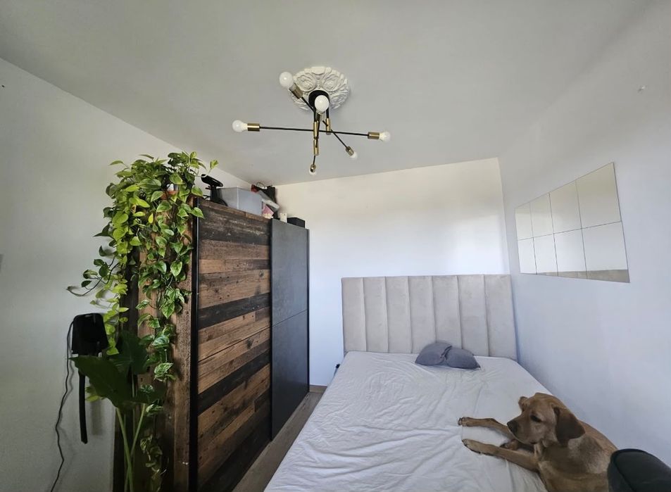 Apartament zona Circumvalatiunii