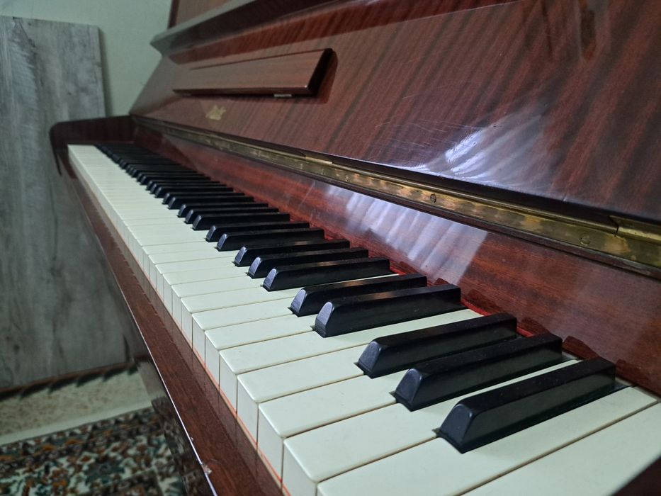 Продаётся пианино (фортепиано) Чешское   Rösler (Рёшлер)