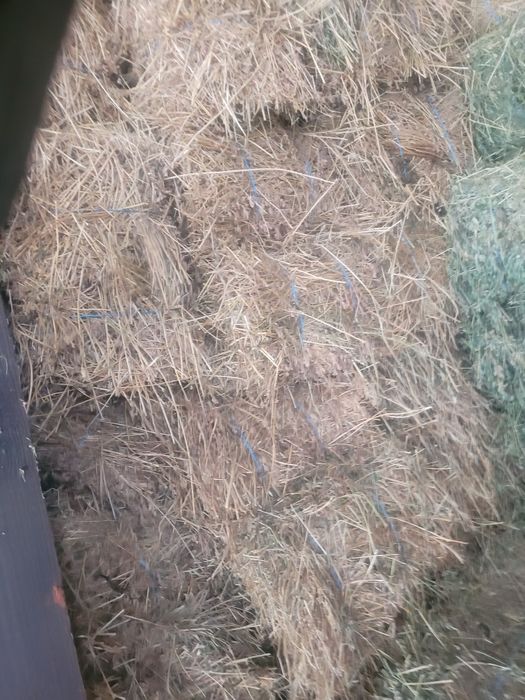 Vând baloți de lucernă