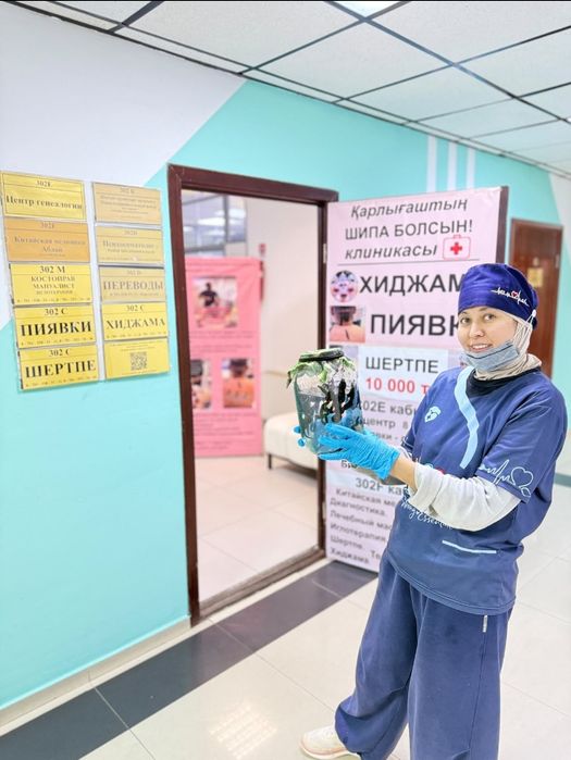 Астапиявки Астана гирудотерапия Астана