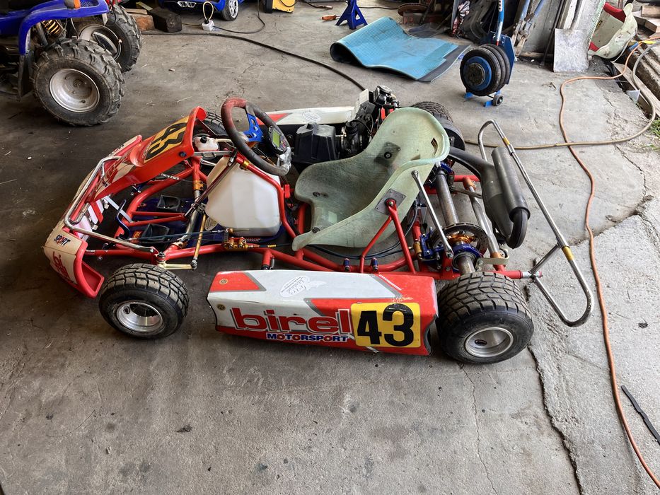 Картинг ROTAX 125 кубика