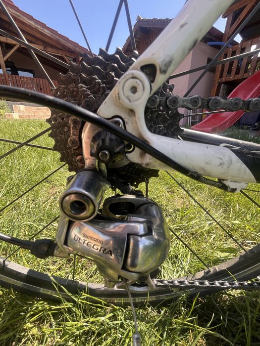 Cursiera Wilier Triestina carbon