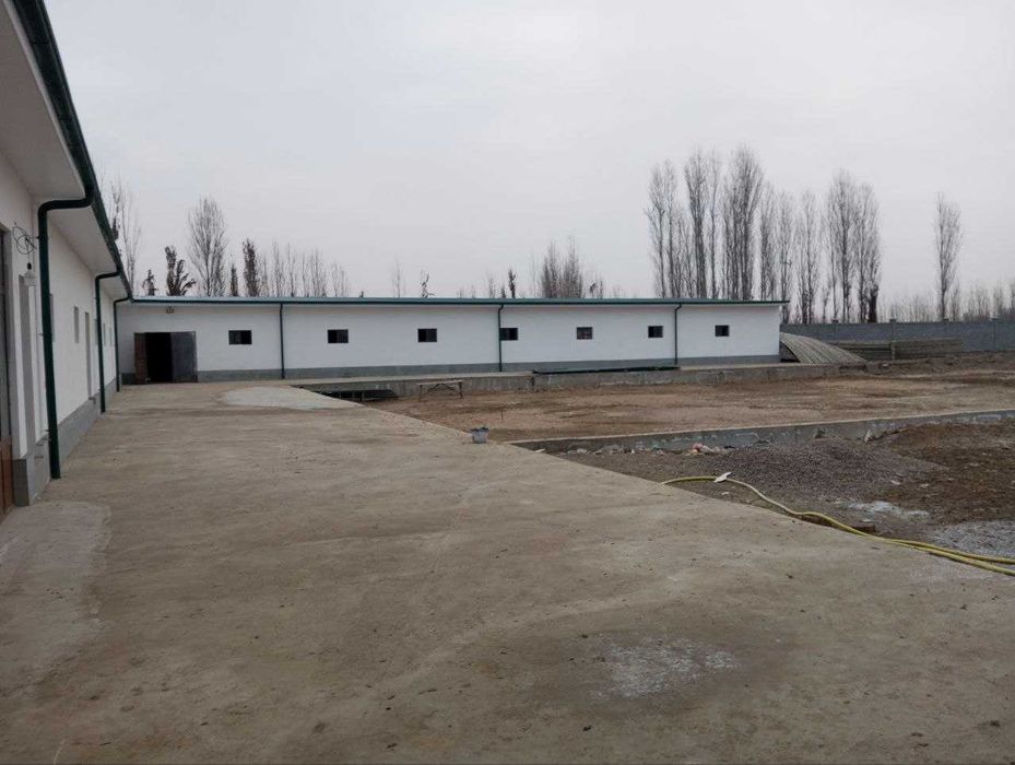 тайёр Ферма Ангарлари бн 36 сотих+26 изнес учун