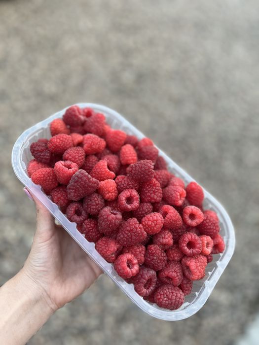 Zmeură de vânzare