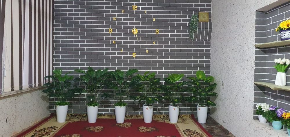 Катта суний гуллар оптом нархларда