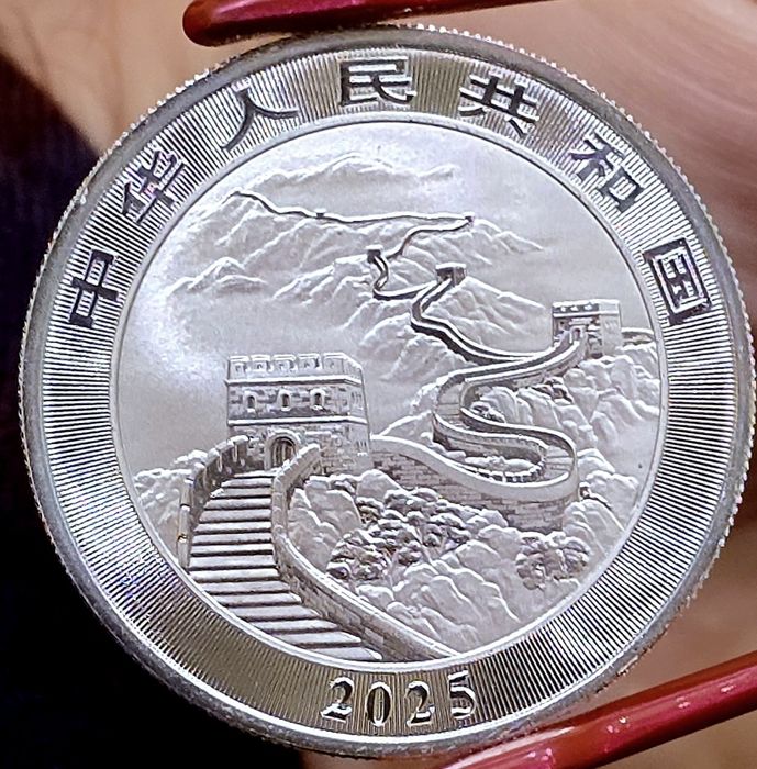 China Panda 2008-2026 monede argint lingou 999