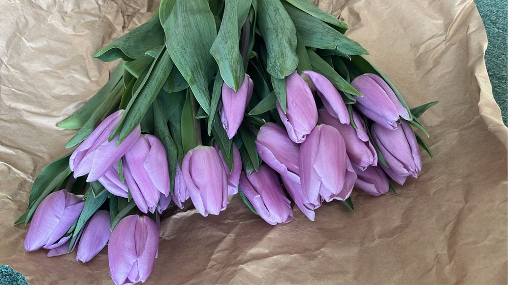 Тюльпаны в пачках/в оформлении