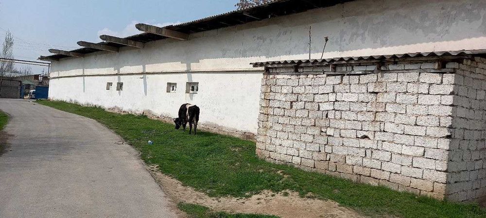 12 сотих жой сотилади бинолари билан