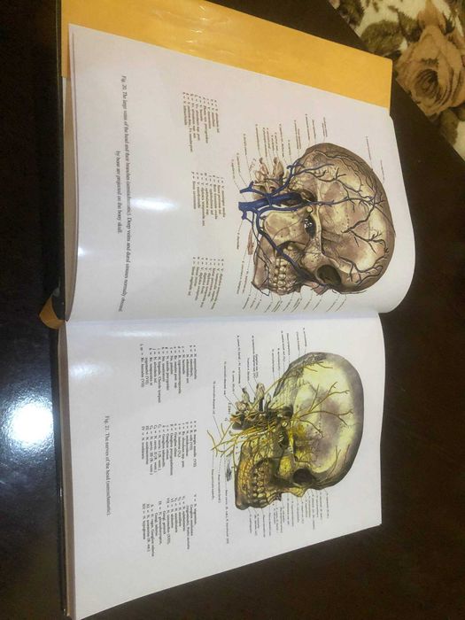 Топографический Атлас по анатомии Эдуарда Пернкопфа Том 1 Голова и Шея