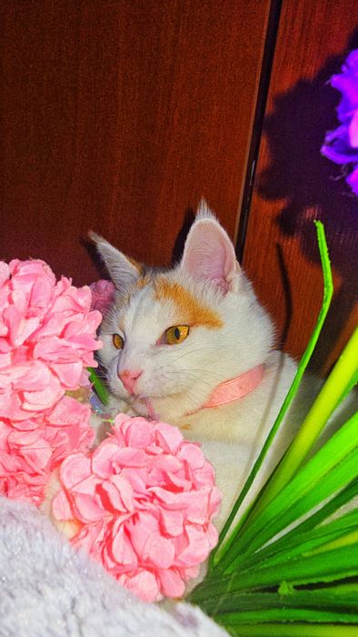 Снежана ждёт семью