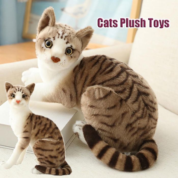 Плюшени котки различни видове