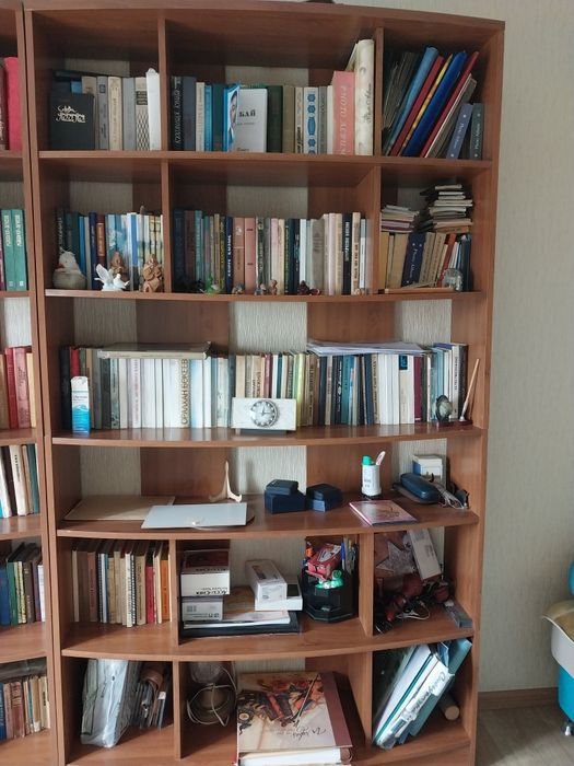 Большой книжный шкаф