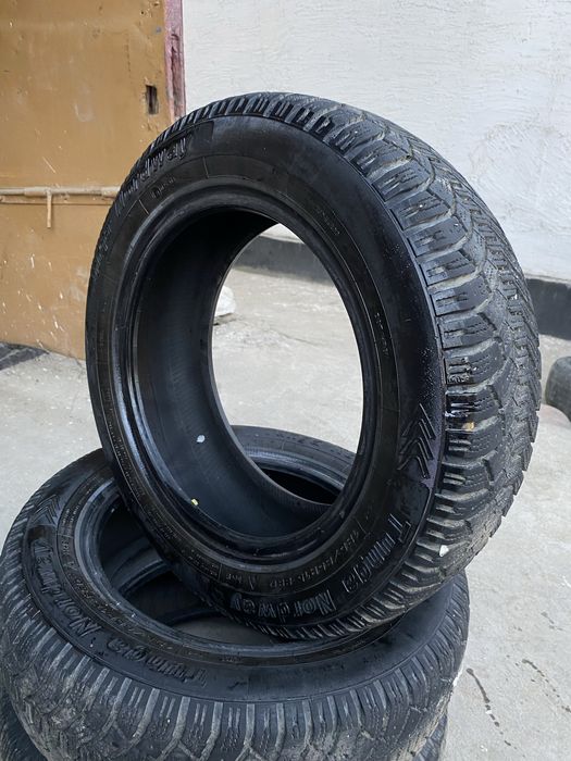 Tunga Nordway шины