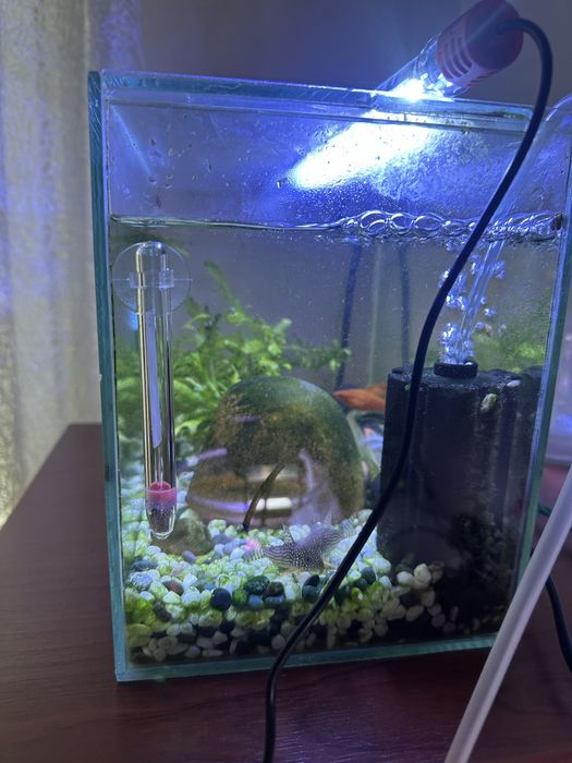 Авариум 15 литра с камани
