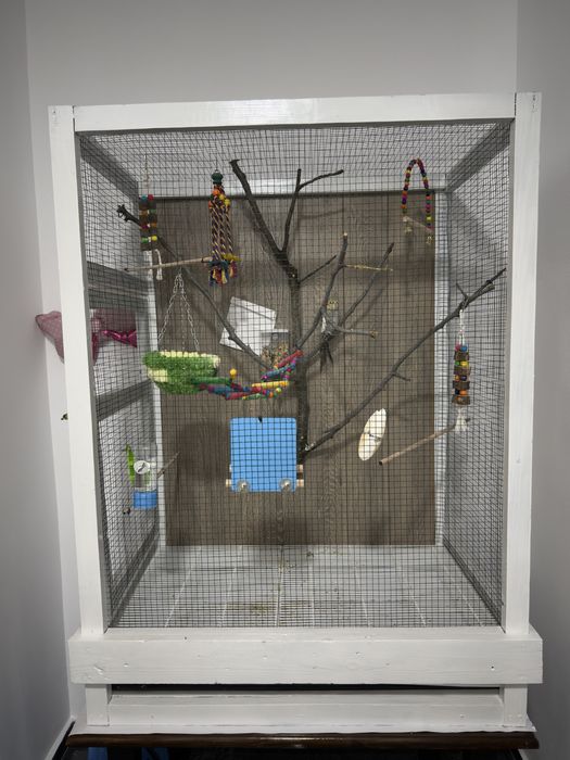 Colivie / cusca + papagal nimfa