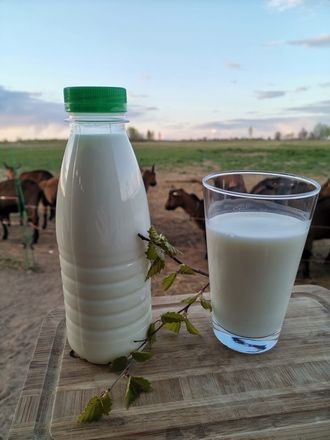 Пайдалы ешкі сүті - натуральное козье молоко