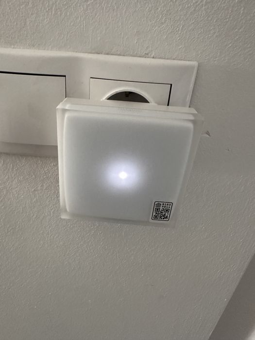 Releu netatmo doar releul