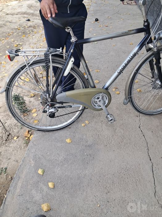 Gazelli velik 950