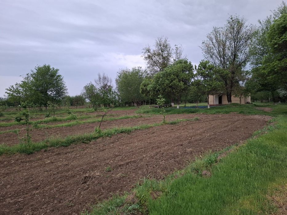 Oqoltin tumanida sotuvdagi yer