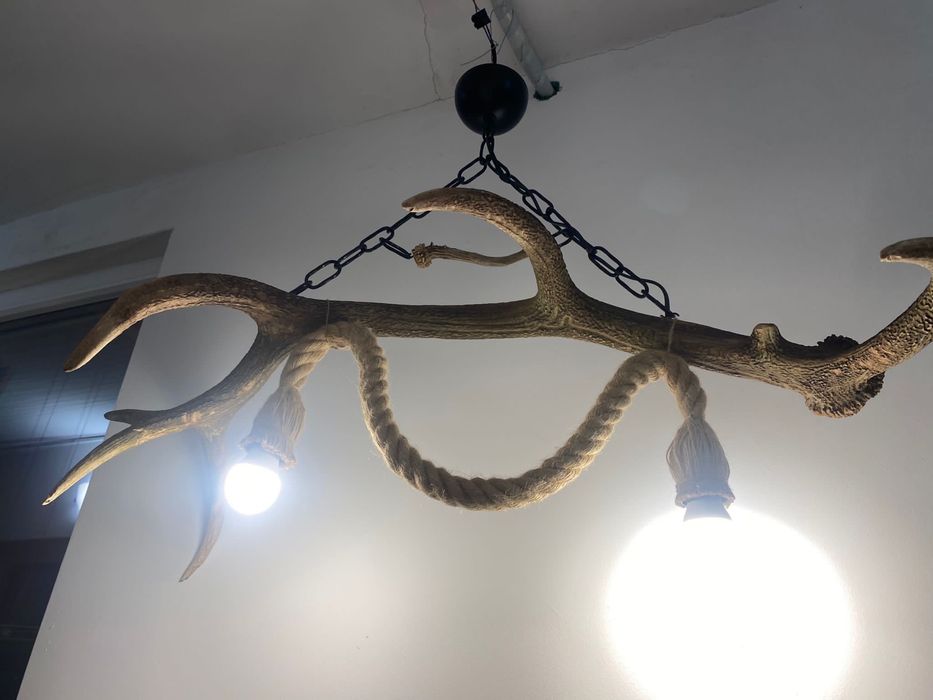 Полилей от масивен рог