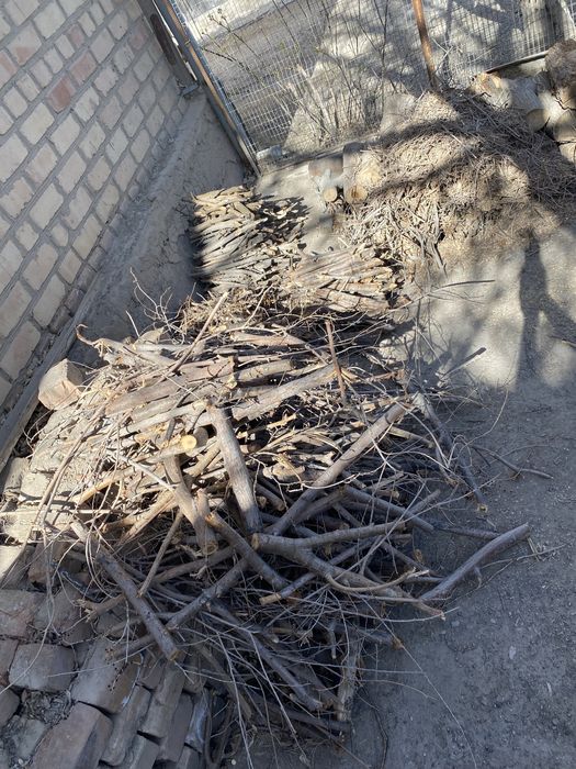 Агаш, дайын отын, дрова