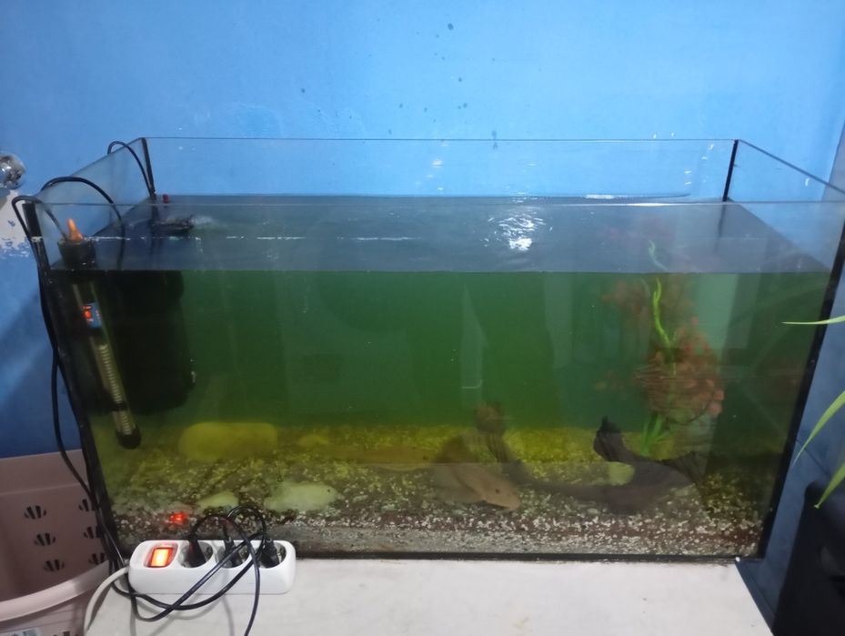 Acvariu de 110 litri