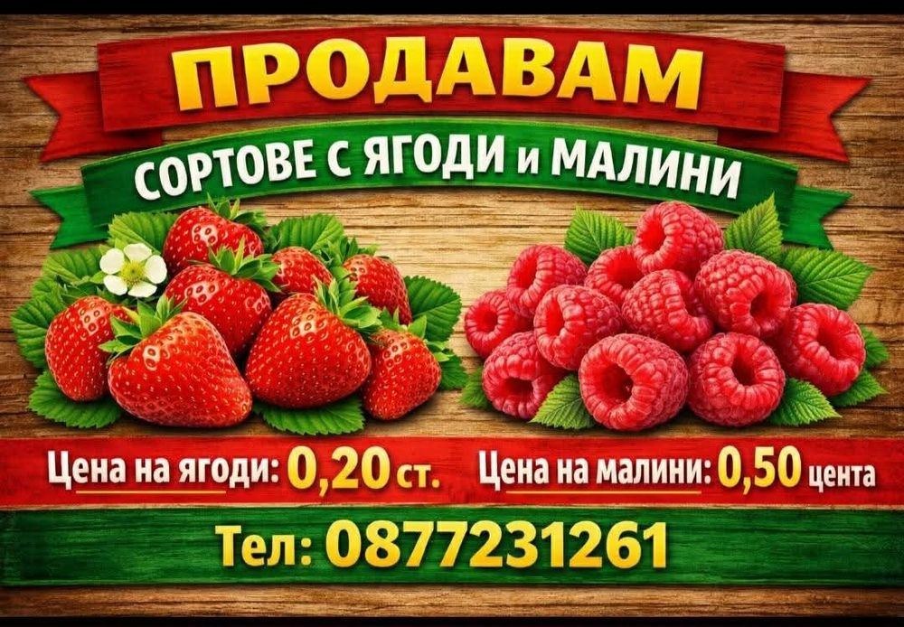 Продавам ягоди и малини расат
