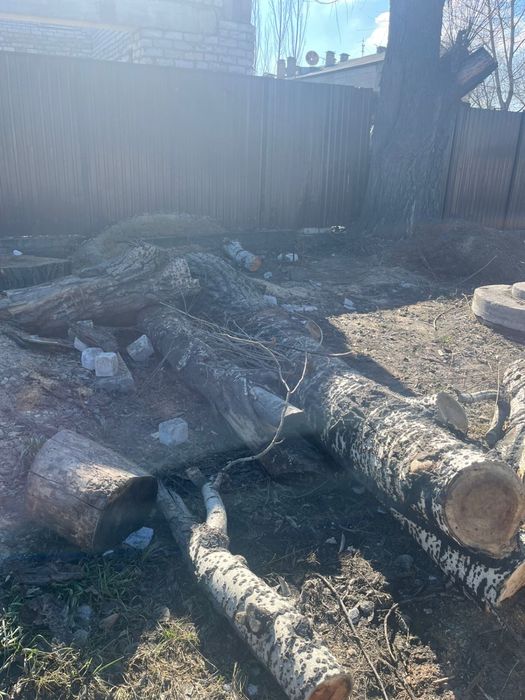 Отдам даром дрова самовывоз