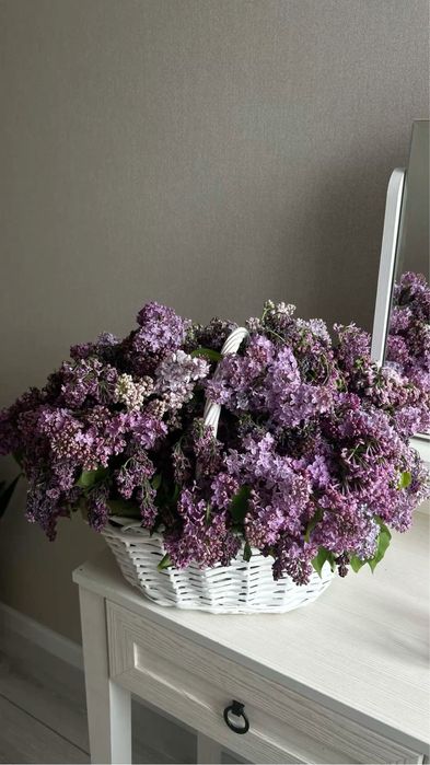 Сирень букет/корзина