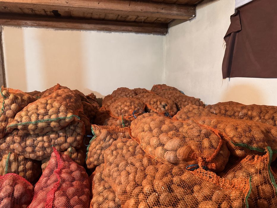 Cartifi consum și sămânță