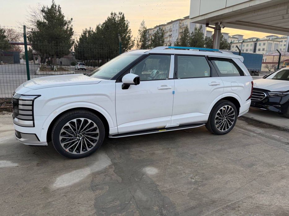 Hyunday paliside 2026