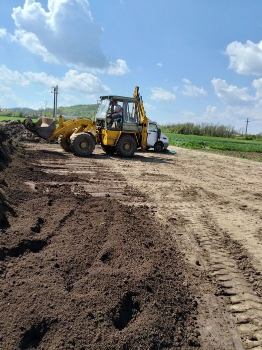 Pământ gazon gradina florii pomii mranita