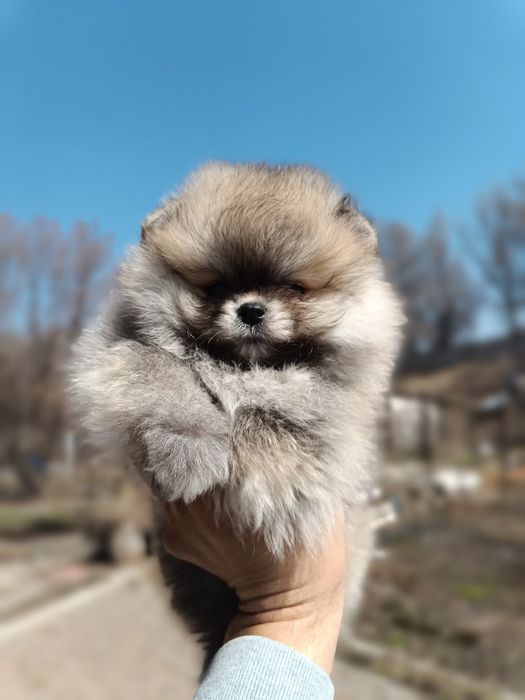 Красивые девочки и мальчики  &-