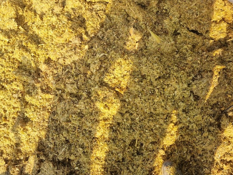 Donli makka silos sotiladi