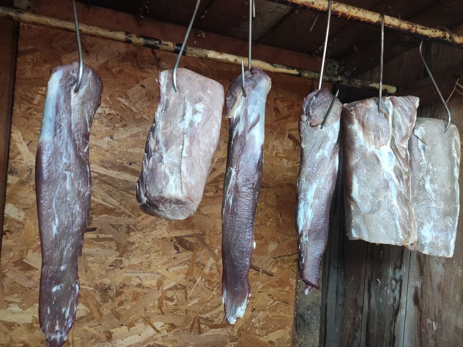 Afumam carne,carnati ,etc cu fum rece de fag,lemn de esenta tare