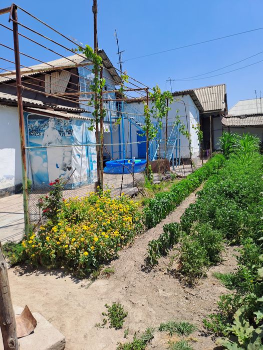 Turar Joy Kotta Xovli