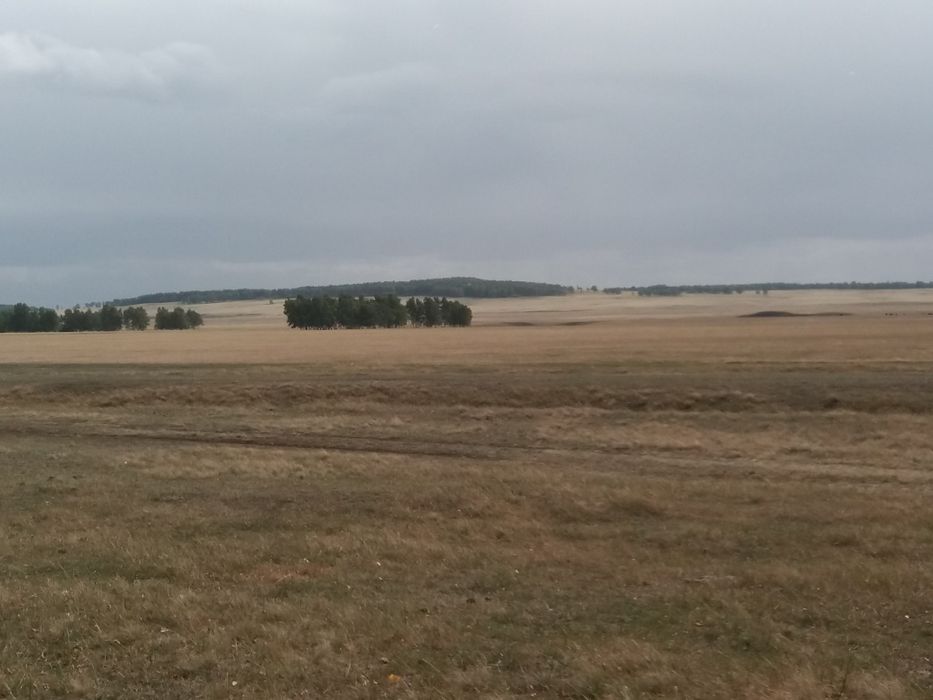 Фазенда. Продам фазенду