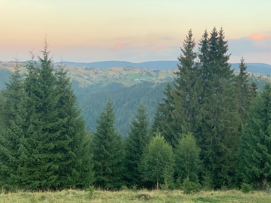 Vand teren Marisel Cluj