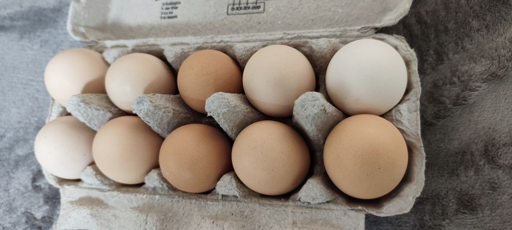 Vând ouă gaina proaspete