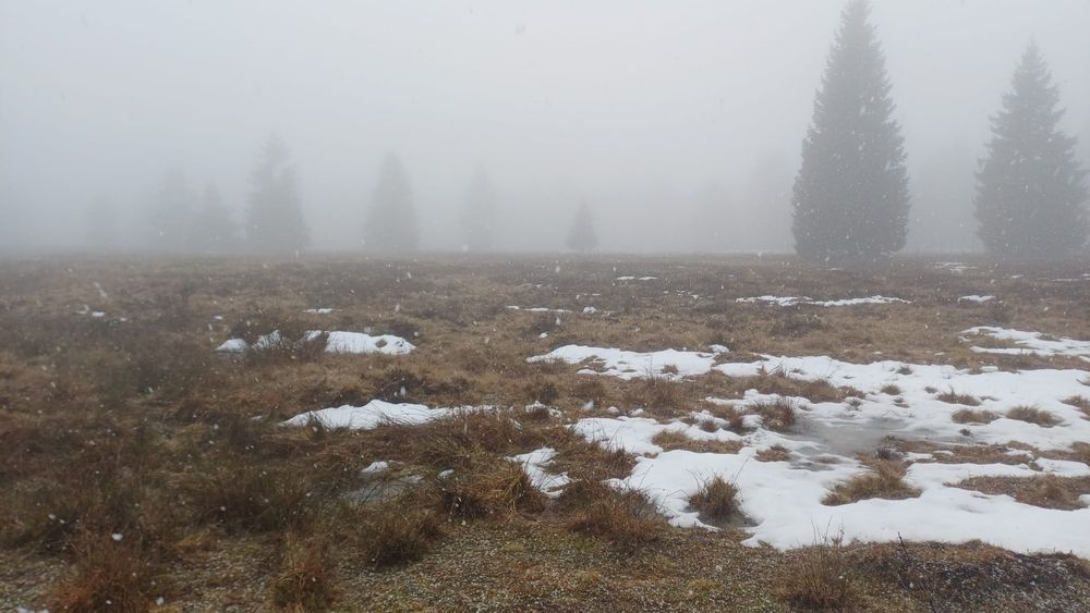 Vand 2 parcele Belis