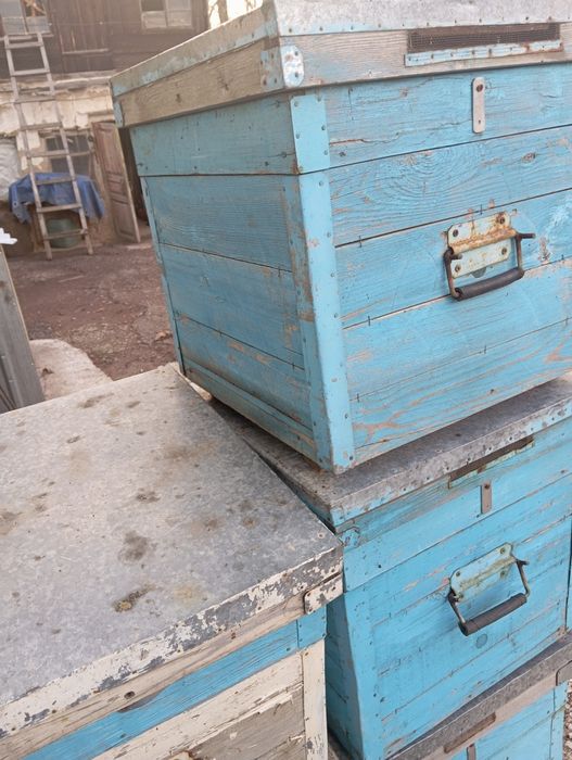 Продам улья системы дадан