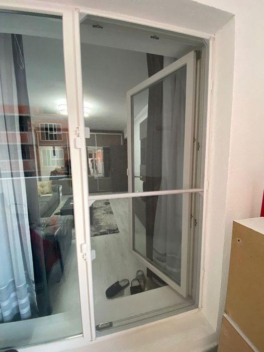 Execut plase insecte(tantari)la comanda