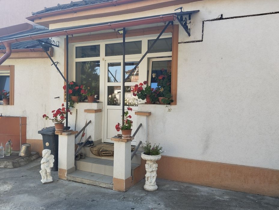 Dau in chirie casă în Satu Mare strada Aurel Vlaicu