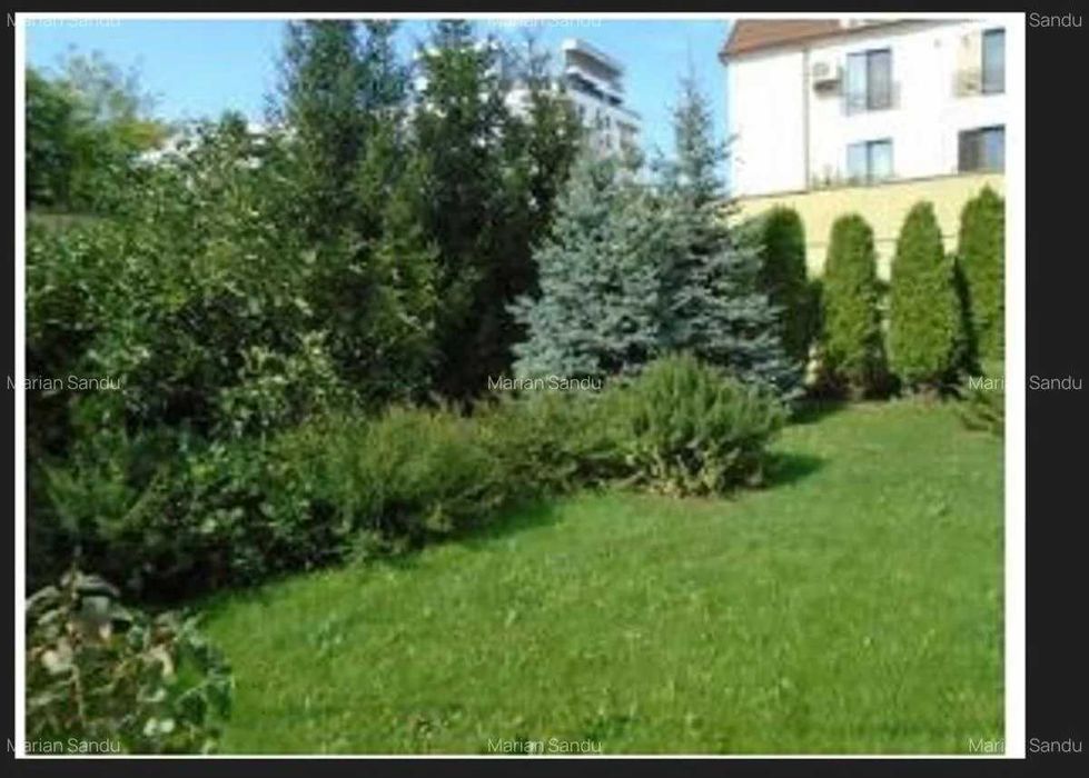 Teren intravilan 645 m.p.Parc Tabacariei, Strada Lacului, 500.000 Euro