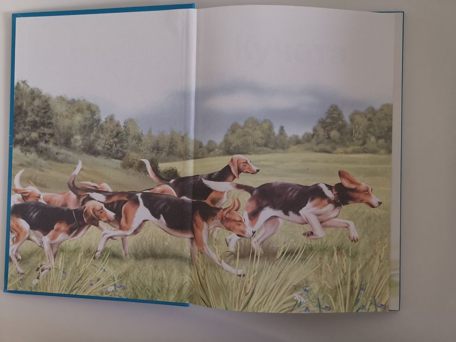 Енциклопедия за кучетата, дефектна корица